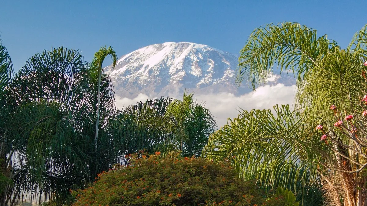 Préparer son ascension du Kilimandjaro : condition physique, mal des montagnes et équipement