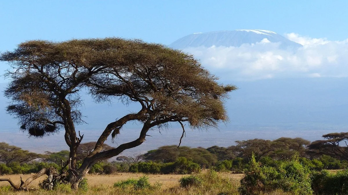 Le Kilimandjaro depuis Amboseli : la vue la plus célèbre du Kenya