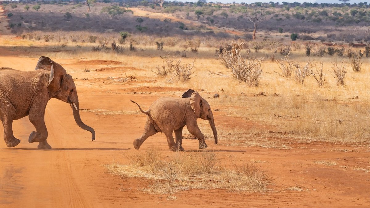 Paysages du Kenya