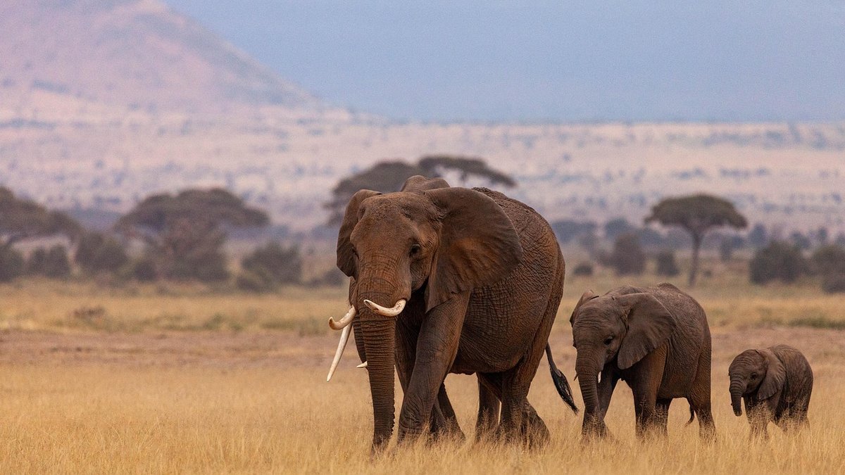 Paysages du Kenya