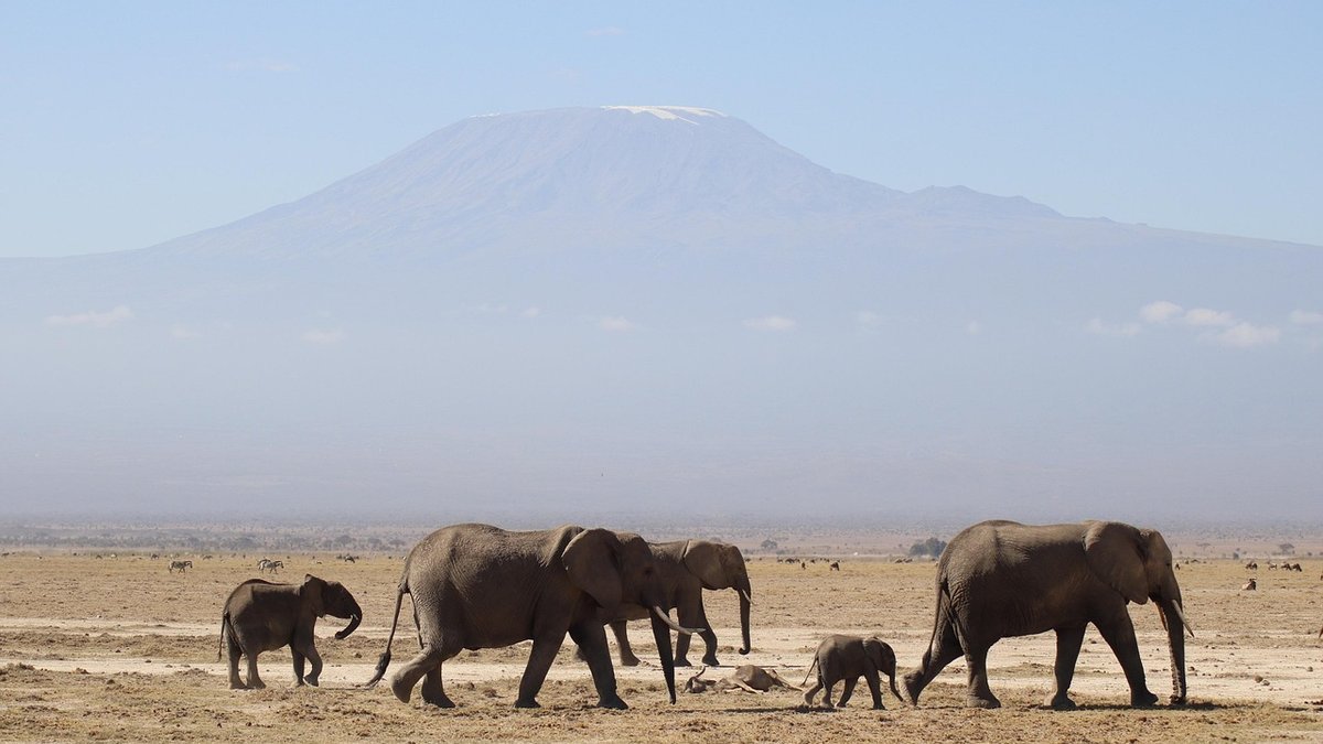 Paysages du Kenya