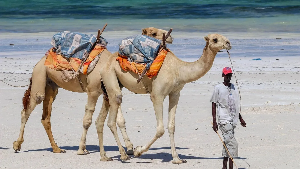 Météo à Mombasa : climat tropical et saisons