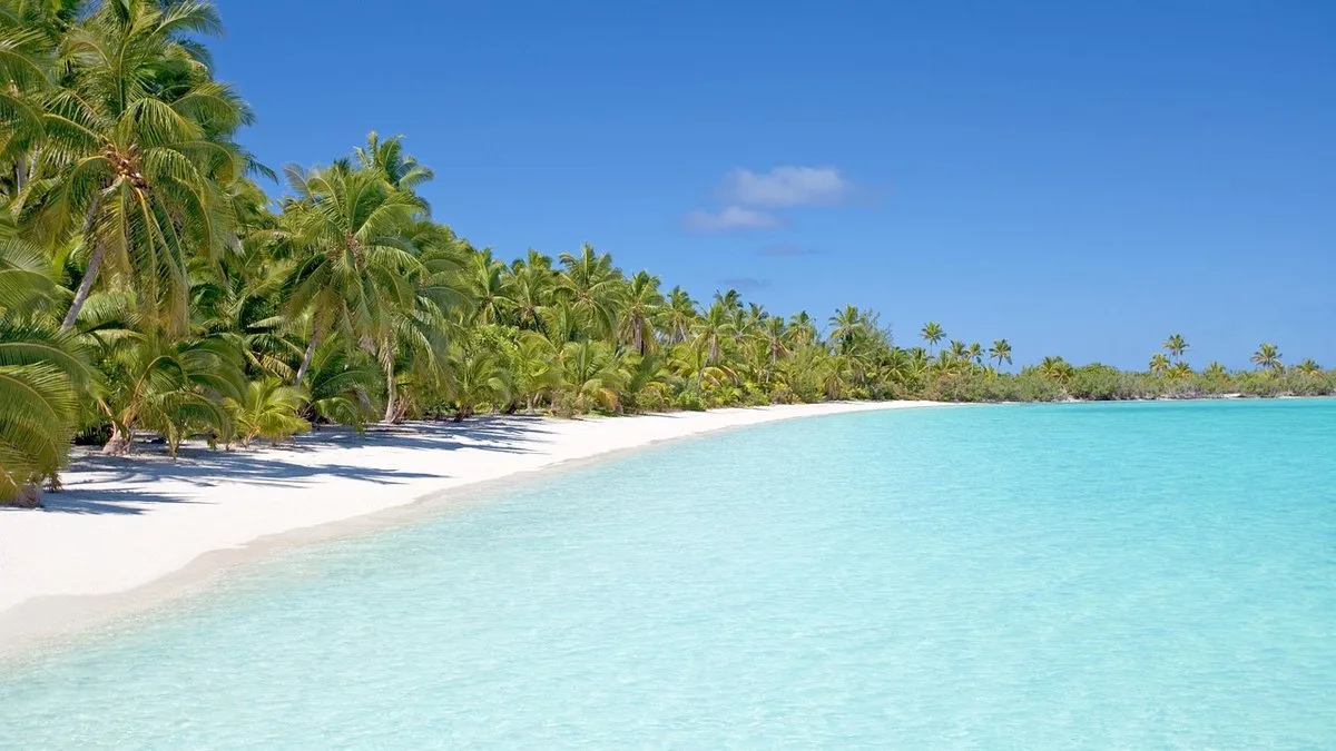 Les plages nord de Mombasa : Shanzu, Nyali et Bamburi