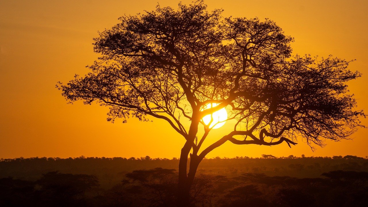 Sur les pistes africaines au Kenya