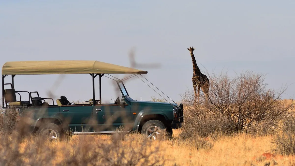 Choisir son agence de safari au Kenya : guide complet 2026