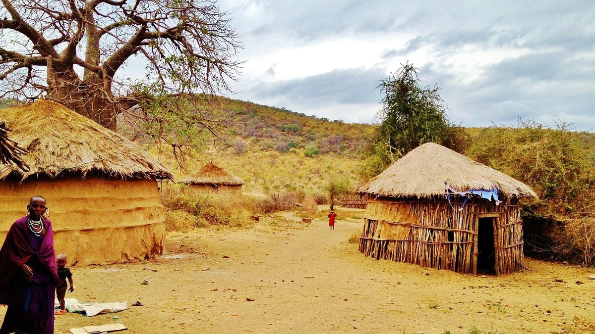 Savane de Tanzanie