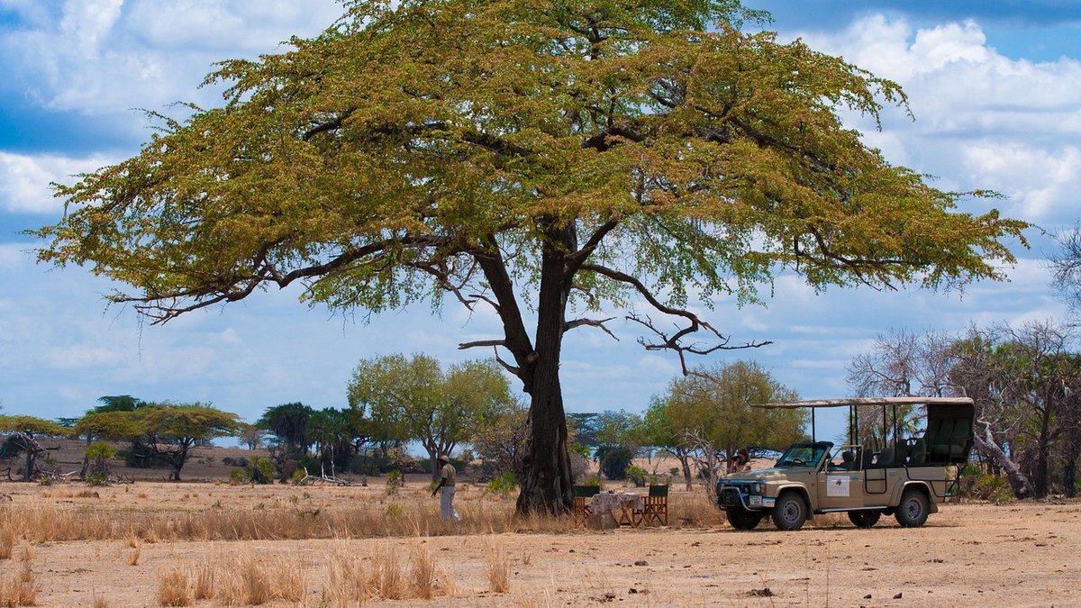 Savane de Tanzanie