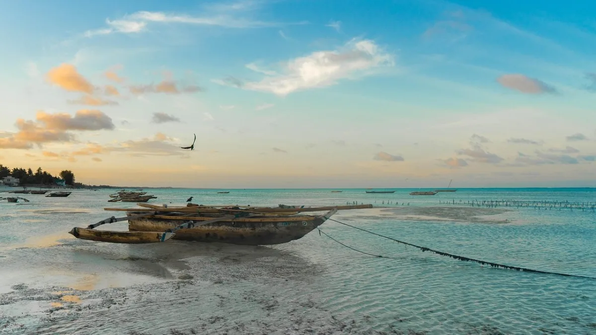 Combiné safari Zanzibar : guide complet 10 à 14 jours